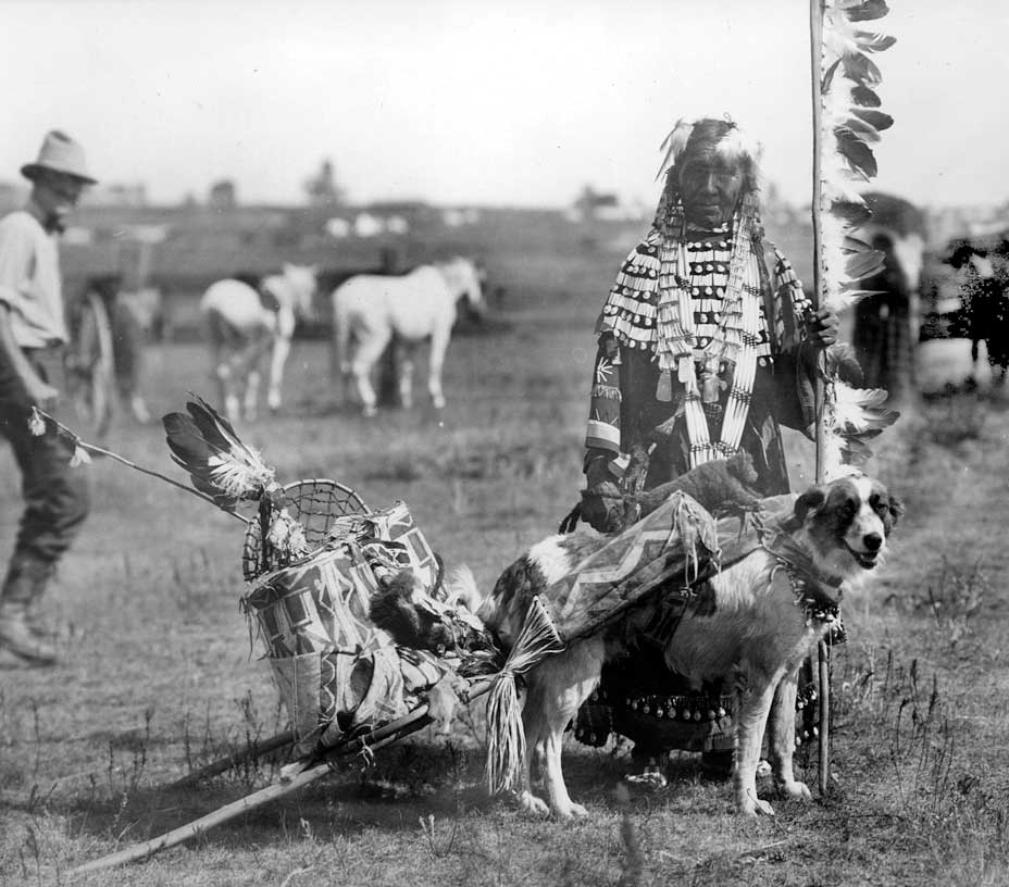 The Plains Indians used the dog travois to transport goods from one location to another.