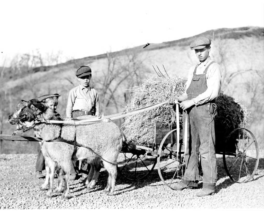 Figure 44. Two boys beside a wagon full of hay