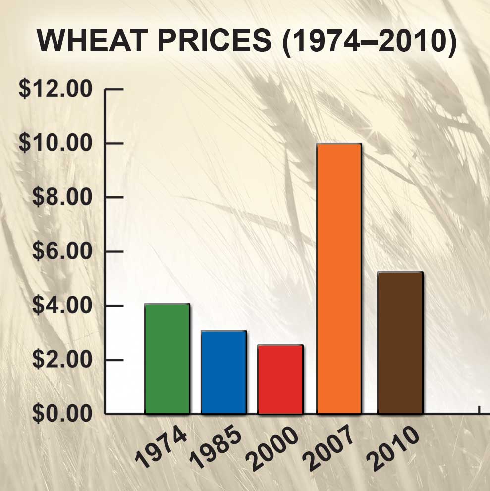 Figure 60. Wheat Prices, 1974–2010